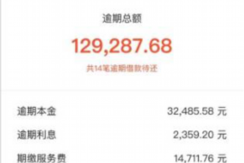 陆河工资清欠服务